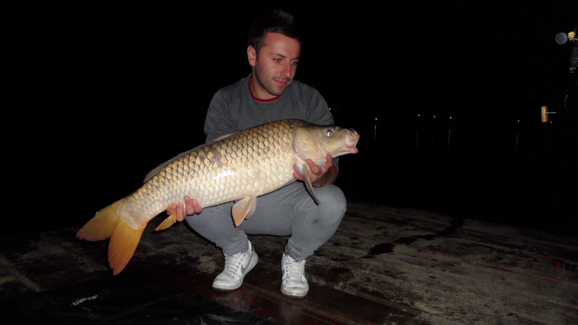 Pleasa 2013 - sam2535.JPG